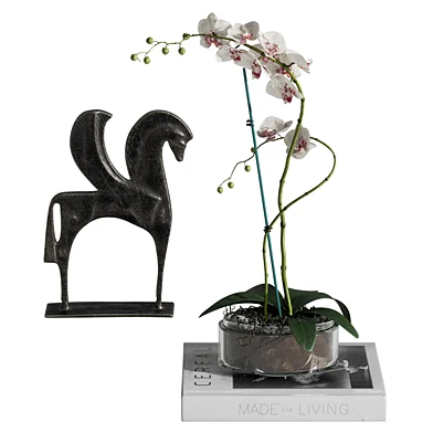 Orchid Flower 63