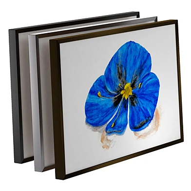 Painting in an aluminum frame