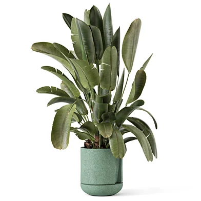 Indoor Plants Handmade Metal Pot_Set 4645