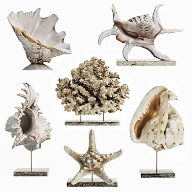 Luxury Marine Decorative Sculptures - Shells and Coral on Stands
