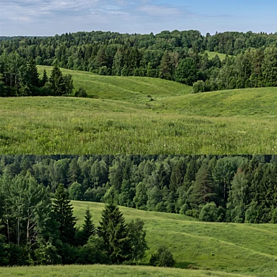 Panorama of lush green hills and trees