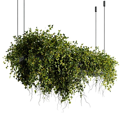 Hanging pot- Indoor plant 828