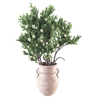 Whisper Bloom Myrtle 060