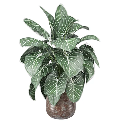 indoor Plants Collection 2752