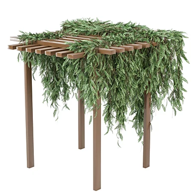 indoor hanging Plants Collection 2753