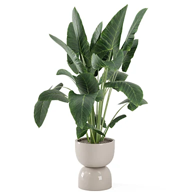 Indoor Plants in Ferm Living Bau Pot Large_Set 4706