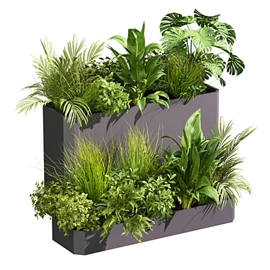 plant vol 1202 - peace lily - monstera - bush - palm