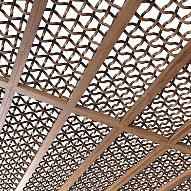 Branch ceiling n14