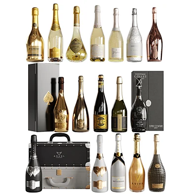 Bottles set 09 Champagne