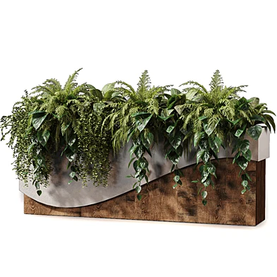 Plants Collection in Box 630