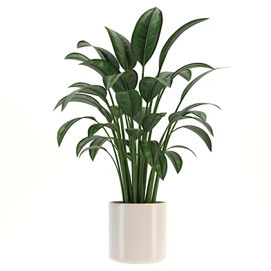 indoor
