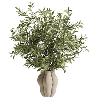 Olive Branch Bouquet in a Clay Pot 206