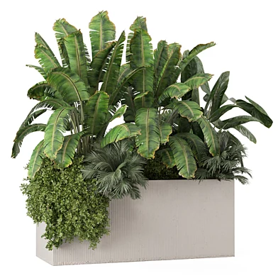 Outdoor Plants Minimal Pot Set_4772