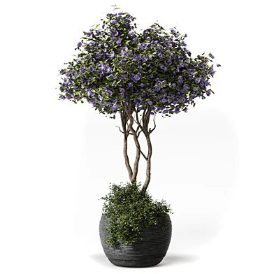 Plants - Flowering Tree Shrub 639