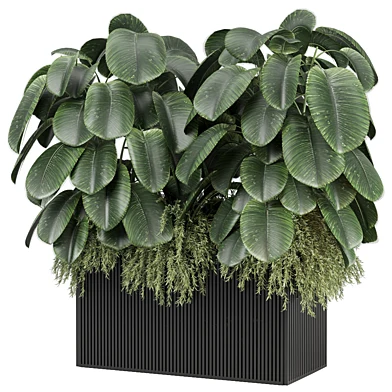 outdoor Plants Collection 2794