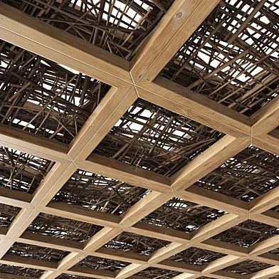 Branch ceiling n9a