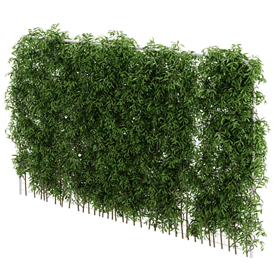Horizontal Fence Ivy Simple_01_58