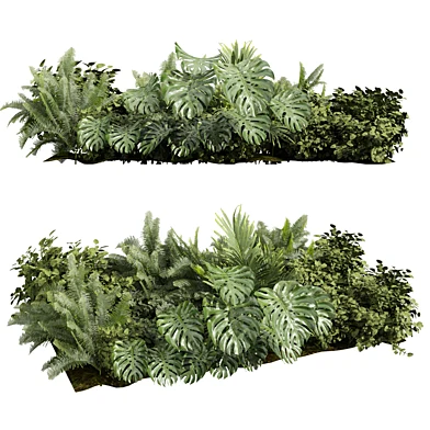 plant vol 1230 - garden - monstera - bush