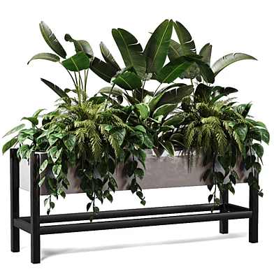 Plants - Plants Collection in Box 676