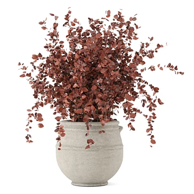 Indoor Red Plants Minimal Pots_Set 4918