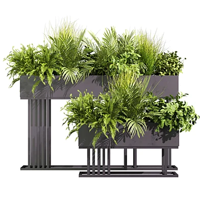 plant vol 1276 - box - fern - bush