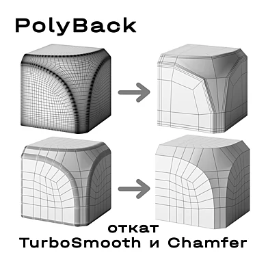 PolyBack