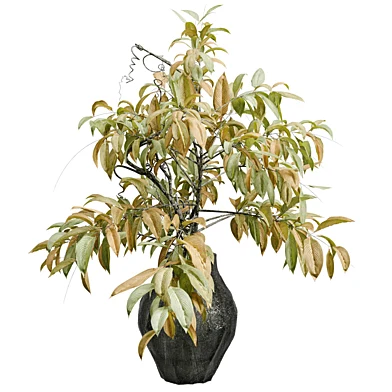 Plant Branch in a Glass Vase - Bouquet 135
