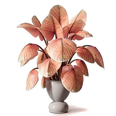 Plant 699