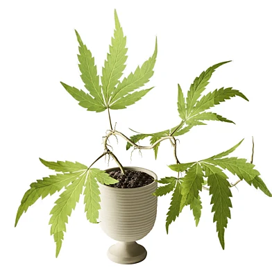 plants bouquet 063