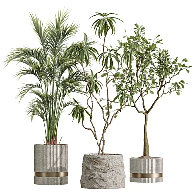 AV Indoor Plants Set 642 Majesty Cat Reed Palm Japandi Ficus Dracaena Marginata