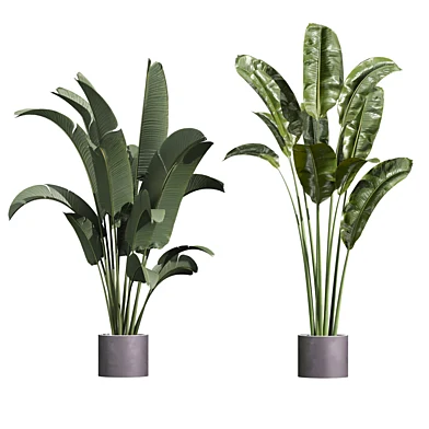 plant vol 1327