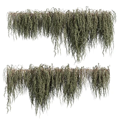 plant vol 1336