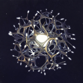 "Abandoned star" lamp concept
