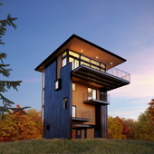 tower house in Michigan