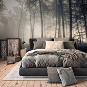 Bedroom in the misty forest.