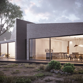 Concept House 1