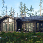 HOUSE IN A PINE FOREST
