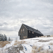 Snowy field House