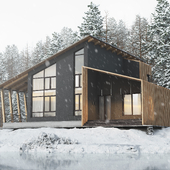 Экстерьерная визуализация дома в зимнем лесу