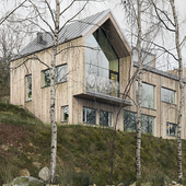 Villa Bondö / Kjellgren Kaminsky Architecture (сделано по референсу)