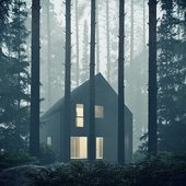 A house in the forest