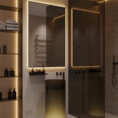 Concept design of the bathroom