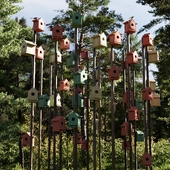 birdhouse architecture concept