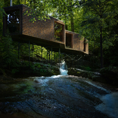 The Forest Cabin