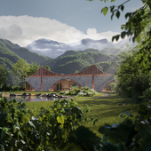 Vineyard in the Caucasus Region