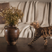 Home Hunter