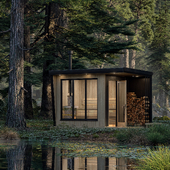 Sauna Norway / Octane Render / 3Ds Max