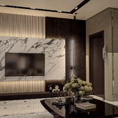 Modern Luxury living room