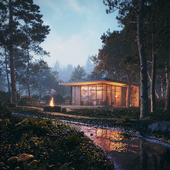 Warm light in the forest