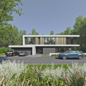 MODERN HOUSE. ARCHITECTURAL PROJECT AND RENDERING